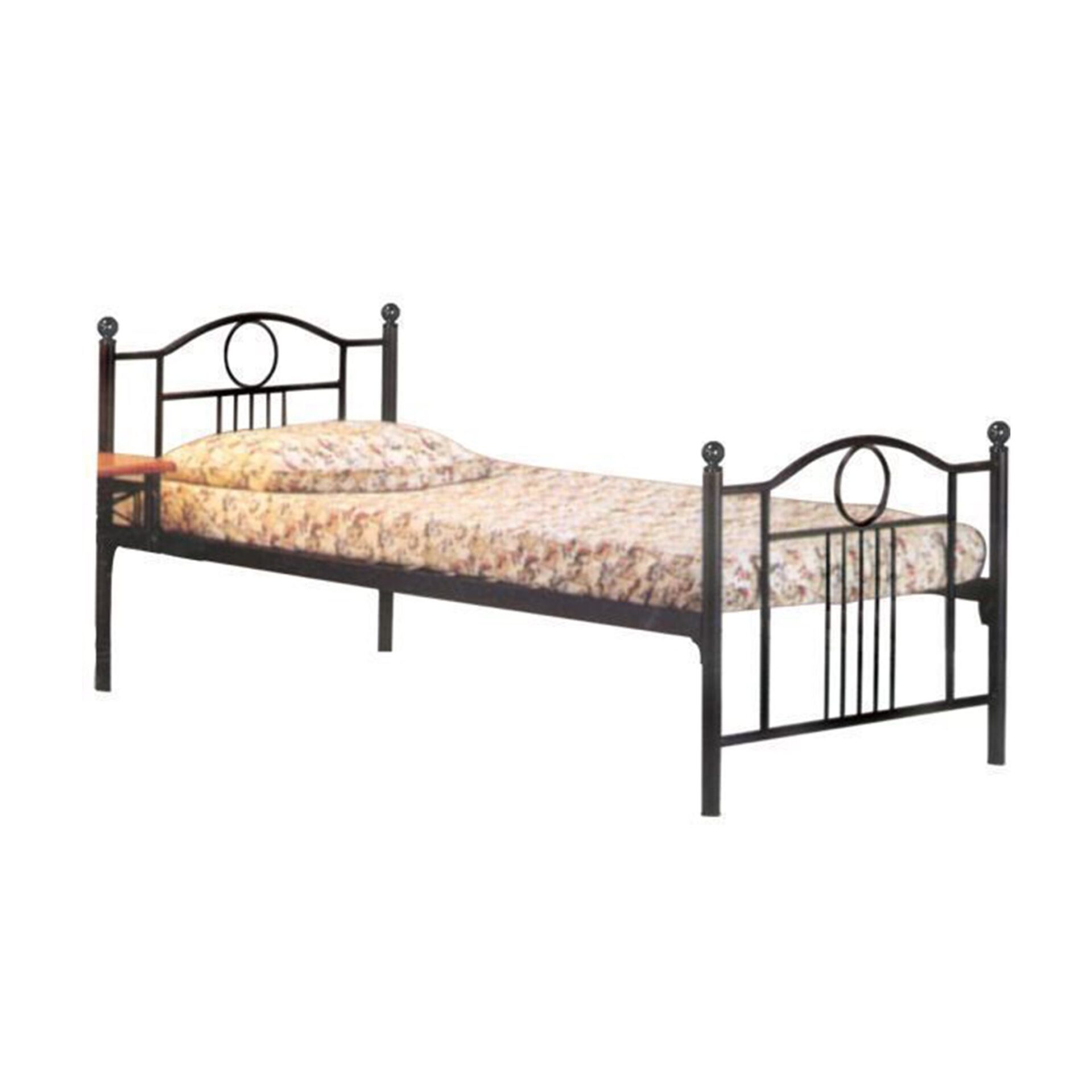 Chelmsford Steel Cot Single