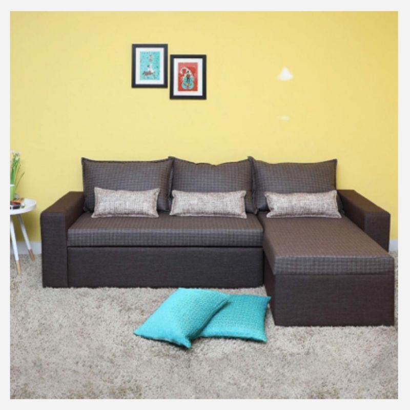 Rio Sofa Cum Bed Brown